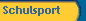  Schulsport 
